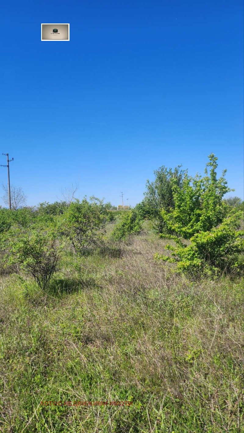 Продаја  Плот регион Велико Тарново , Белјаковец , 2700 м2 | 95496188 - слика [5]