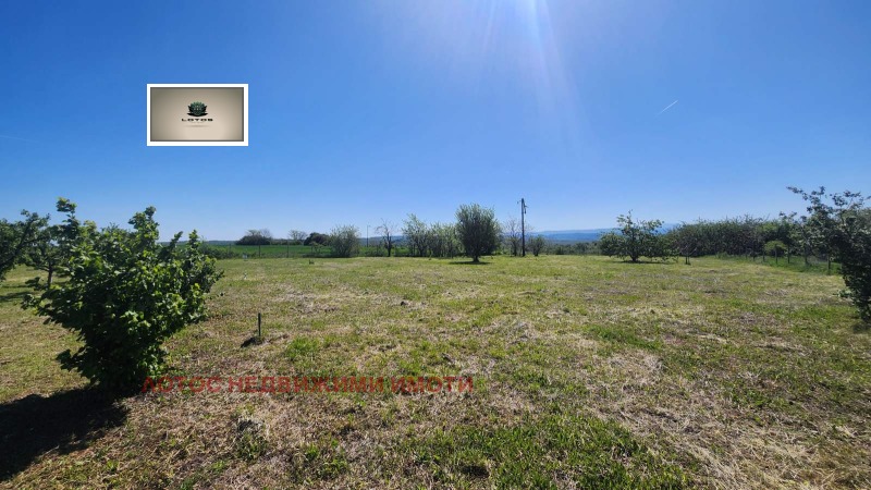 Продаја  Плот регион Велико Тарново , Белјаковец , 2700 м2 | 95496188 - слика [4]