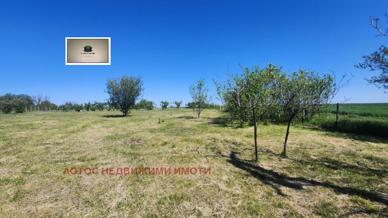 Продаја  Плот регион Велико Тарново , Белјаковец , 2700 м2 | 95496188 - слика [7]