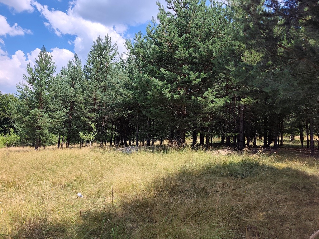 Продава ПАРЦЕЛ, гр. Разлог, област Благоевград, снимка 8 - Парцели - 55571320