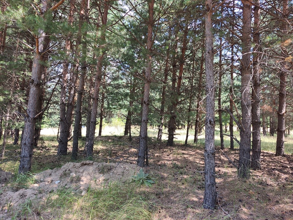 Продава ПАРЦЕЛ, гр. Разлог, област Благоевград, снимка 9 - Парцели - 55571320
