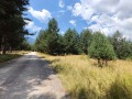 Продава ПАРЦЕЛ, гр. Разлог, област Благоевград, снимка 11