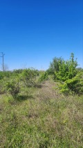 Продава ПАРЦЕЛ, област Велико Търново, с. Беляковец • 21500 € • 80268333 — Holmes.bg