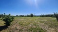 Продава ПАРЦЕЛ, област Велико Търново, с. Беляковец • 21500 € • 80268333 — Holmes.bg