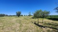 Продава ПАРЦЕЛ, област Велико Търново, с. Беляковец • 21500 € • 80268333 — Holmes.bg