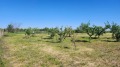 Продава ПАРЦЕЛ, област Велико Търново, с. Беляковец • 21500 € • 80268333 — Holmes.bg