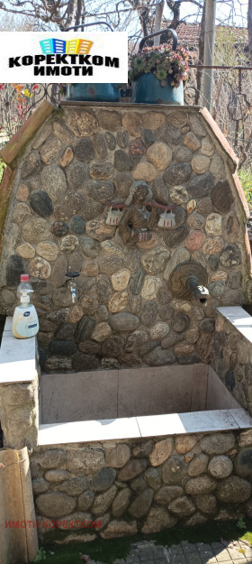 ����� ������� ����,�. ����������, ������ ���������