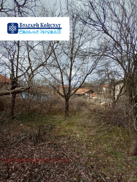 ������� ���� | Imot.bg � ����� ������ 10