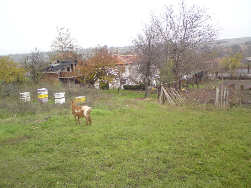 Продава КЪЩА, с. Априлово, област Стара Загора, снимка 2 - Къщи - 52779327