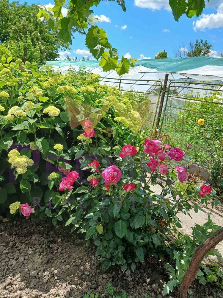 Продава КЪЩА, с. Щипско, област Варна, снимка 12 - Къщи - 56097018