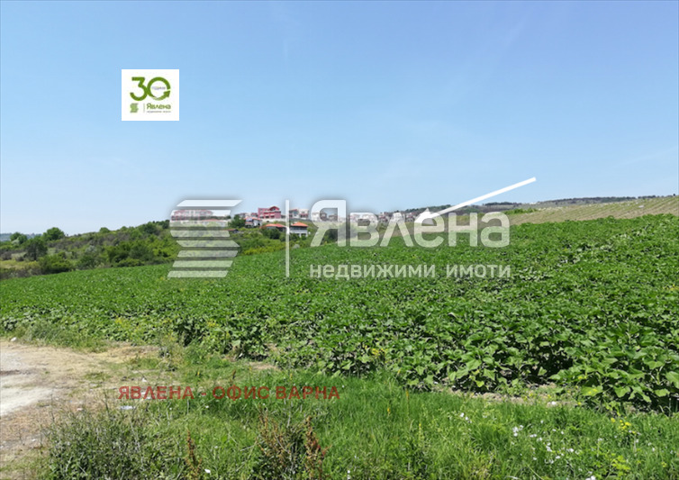 Продава ПАРЦЕЛ, с. Генерал Кантарджиево, област Варна, снимка 2 - Парцели - 54512626