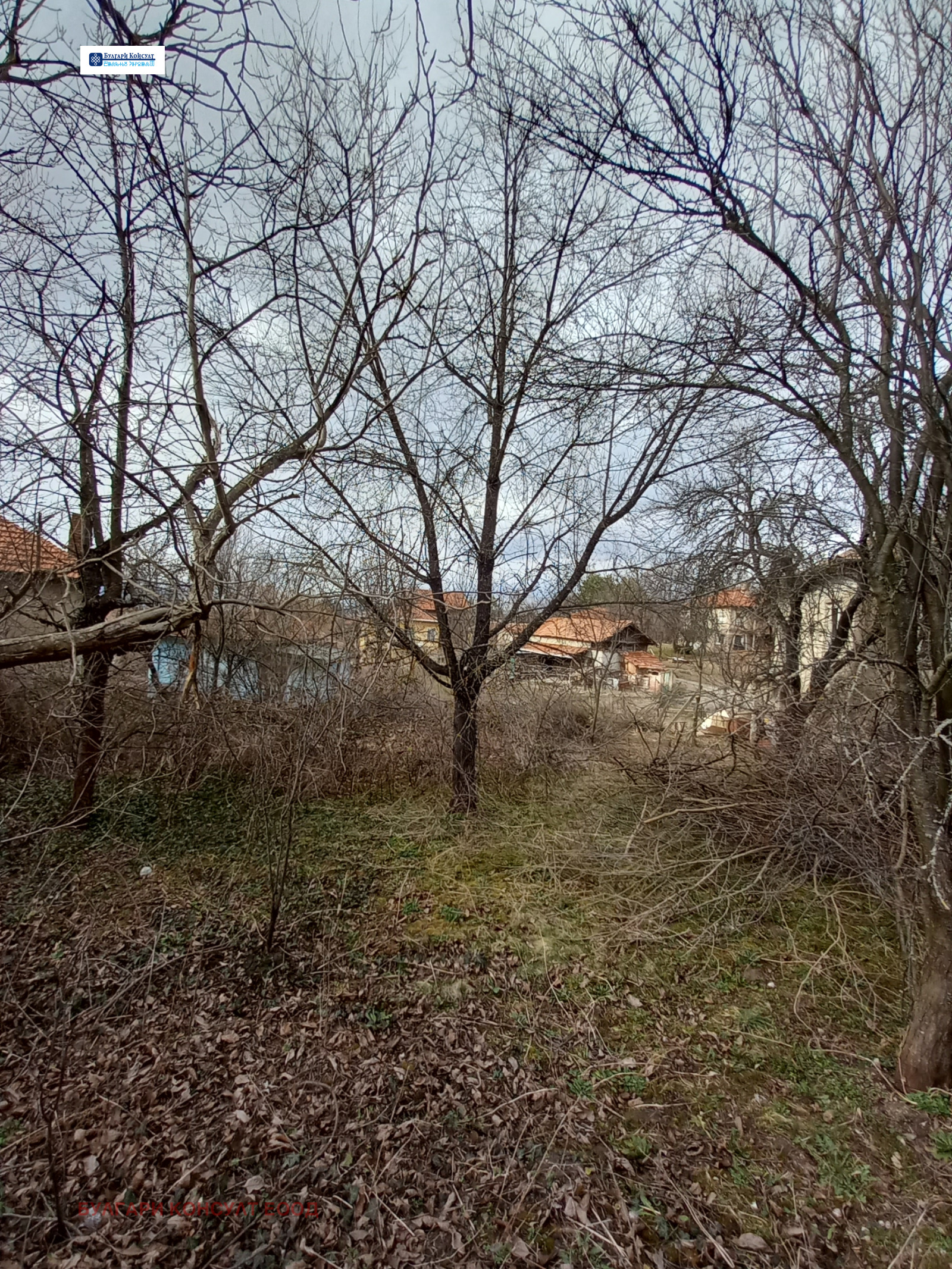 Продава КЪЩА, с. Дворище, област Кюстендил, снимка 10 - Къщи - 54531299