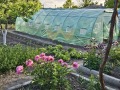 Продава КЪЩА, с. Щипско, област Варна, снимка 15