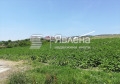 Продава ПАРЦЕЛ, с. Генерал Кантарджиево, област Варна, снимка 2