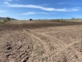 Продава ЗЕМЕДЕЛСКА ЗЕМЯ, гр. Дългопол, област Варна, снимка 4