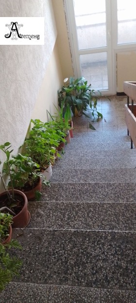 ������� 2-����� | Imot.bg � ����� ������ 7