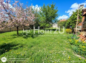 ����� ������� ����,��. ��������, ������ �����