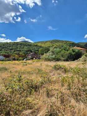 ������� ������ | Imot.bg � ����� ������ 8