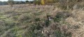 Продава ПАРЦЕЛ, гр. Баня, област Пловдив, снимка 3