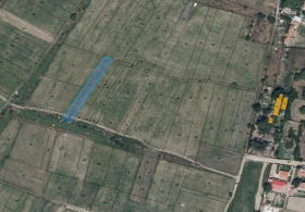 ����� ������� ������,��. ���� �����, ������ �����