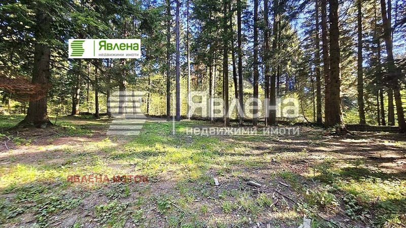 Satılık  Komplo bölge Sofia , k.k. Borovec , 3427 metrekare | 70047149 - görüntü [12]
