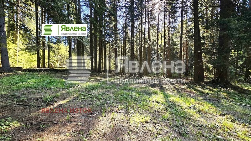 Satılık  Komplo bölge Sofia , k.k. Borovec , 3427 metrekare | 70047149 - görüntü [4]