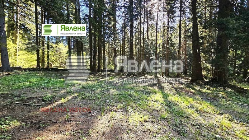 Satılık  Komplo bölge Sofia , k.k. Borovec , 3427 metrekare | 70047149 - görüntü [2]