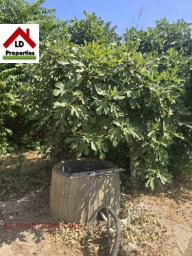 ������� ���� | Imot.bg � ����� ������ 5