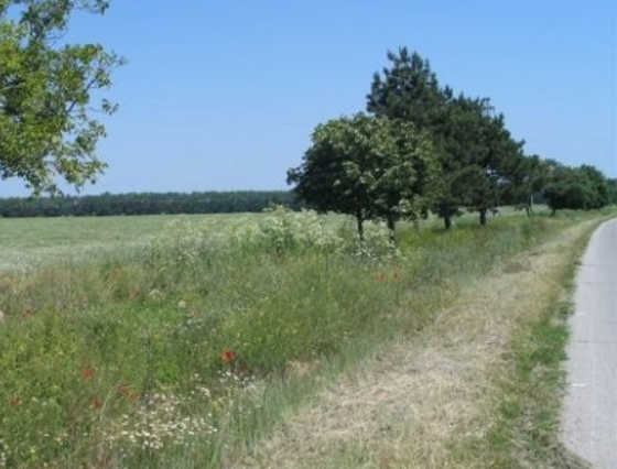 Продава ПАРЦЕЛ | Imot.bg — изображение 1