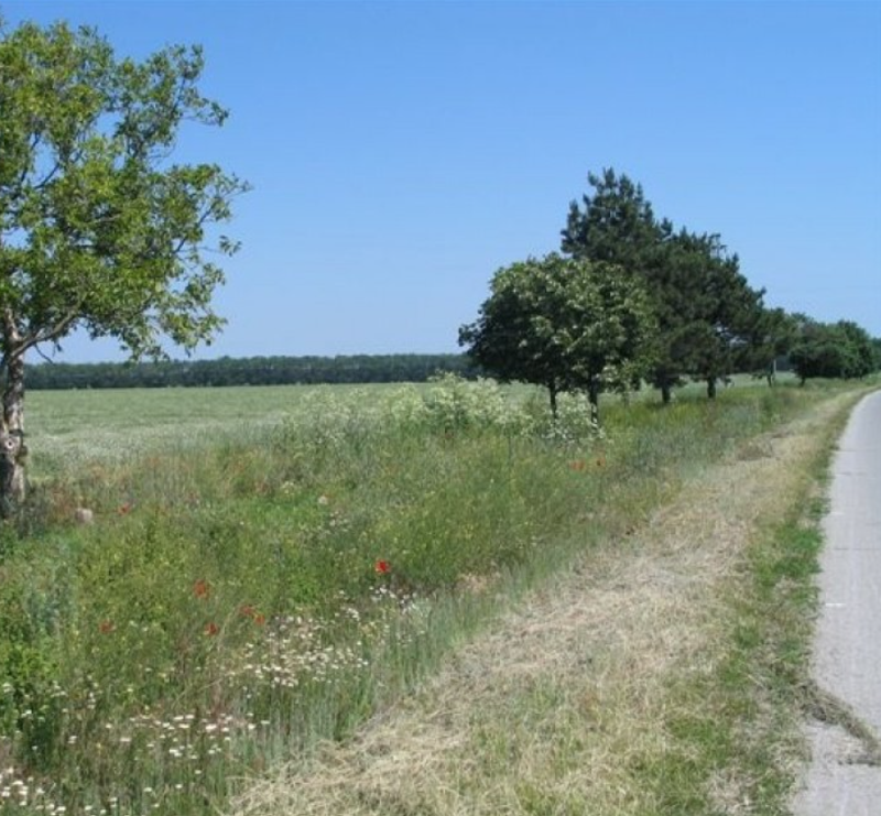 Продава ПАРЦЕЛ, с. Дуранкулак, област Добрич, снимка 2 - Парцели - 52785673