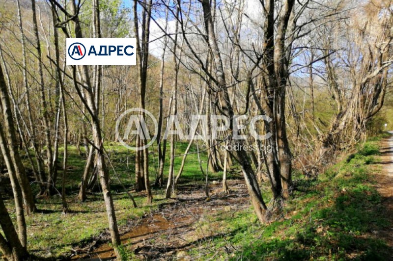 Te koop  Verhaallijn regio Blagoëvgrad , Liljanovo , 501 m² | 96815170 - afbeelding [2]