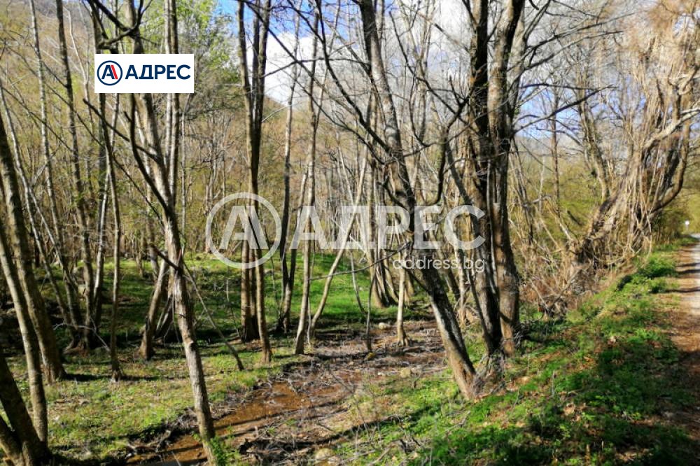 Продава ПАРЦЕЛ, с. Лиляново, област Благоевград, снимка 2 - Парцели - 51802465