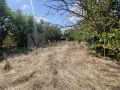 Продава  Парцел област Варна , с. Ветрино , 850 кв.м | 98491779 - изображение [2]