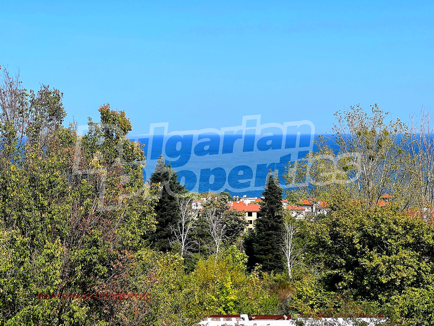 ������� 3-����� | Imot.bg � ����������� 12