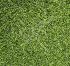 ПАРЦЕЛ, 1 240 m2