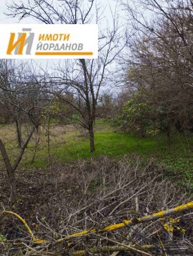 ����� ������� ������,�. �������, ������ ������ �������