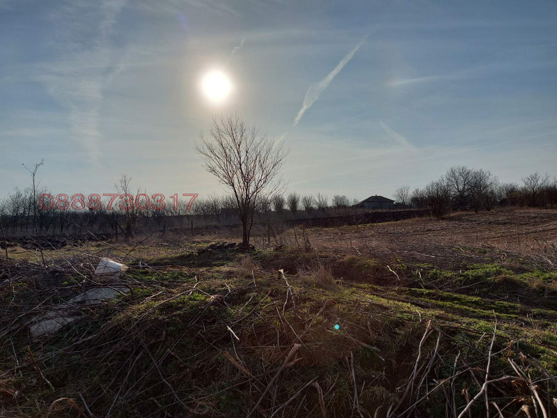 Продава ПАРЦЕЛ, гр. Търговище, Въбел, снимка 6 - Парцели - 52778834