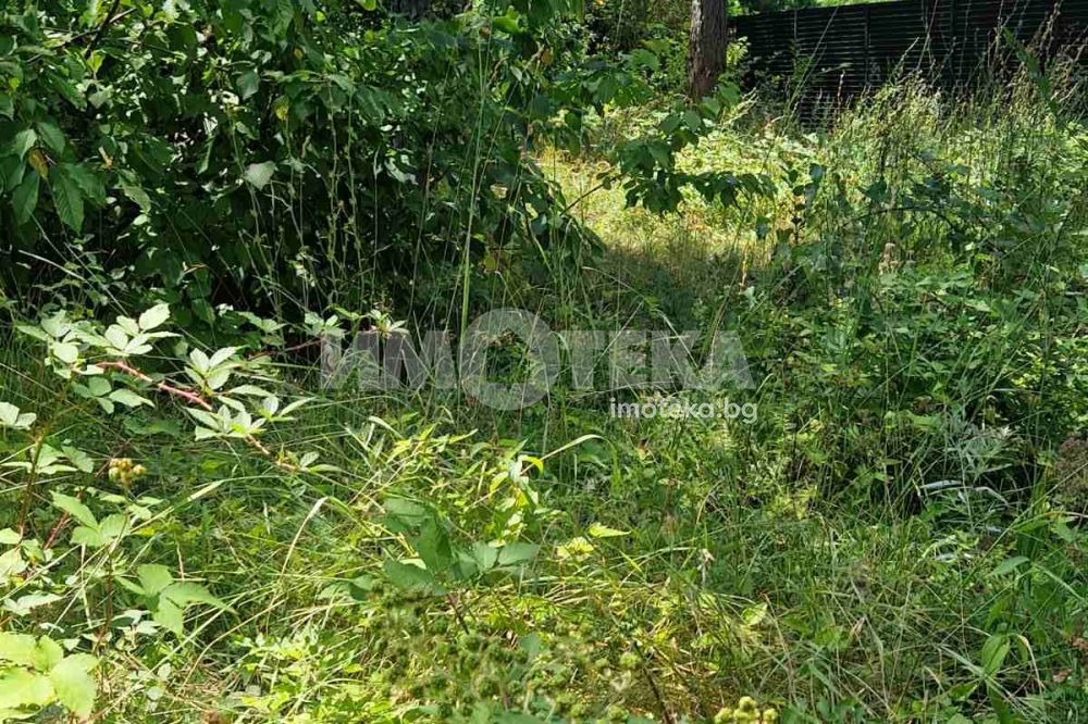 Продава ПАРЦЕЛ, гр. София, Драгалевци, снимка 3 - Парцели - 54915541