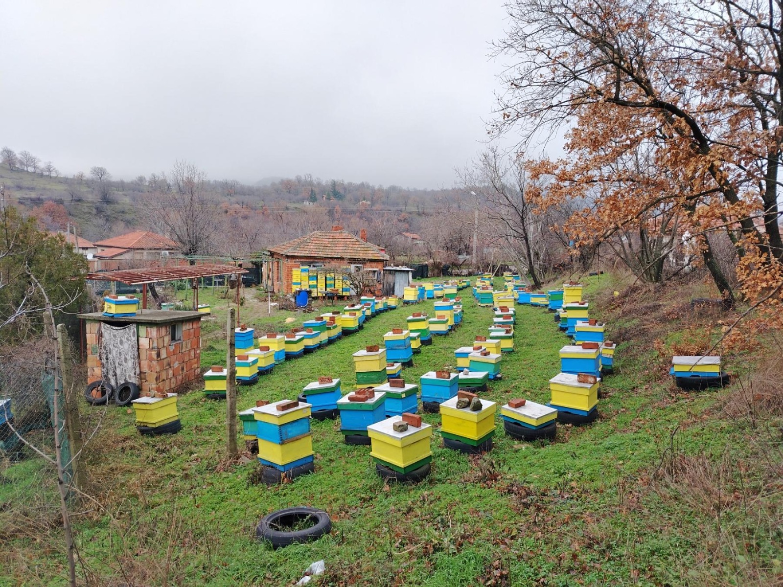 ������� ���� | Imot.bg � ����������� 1