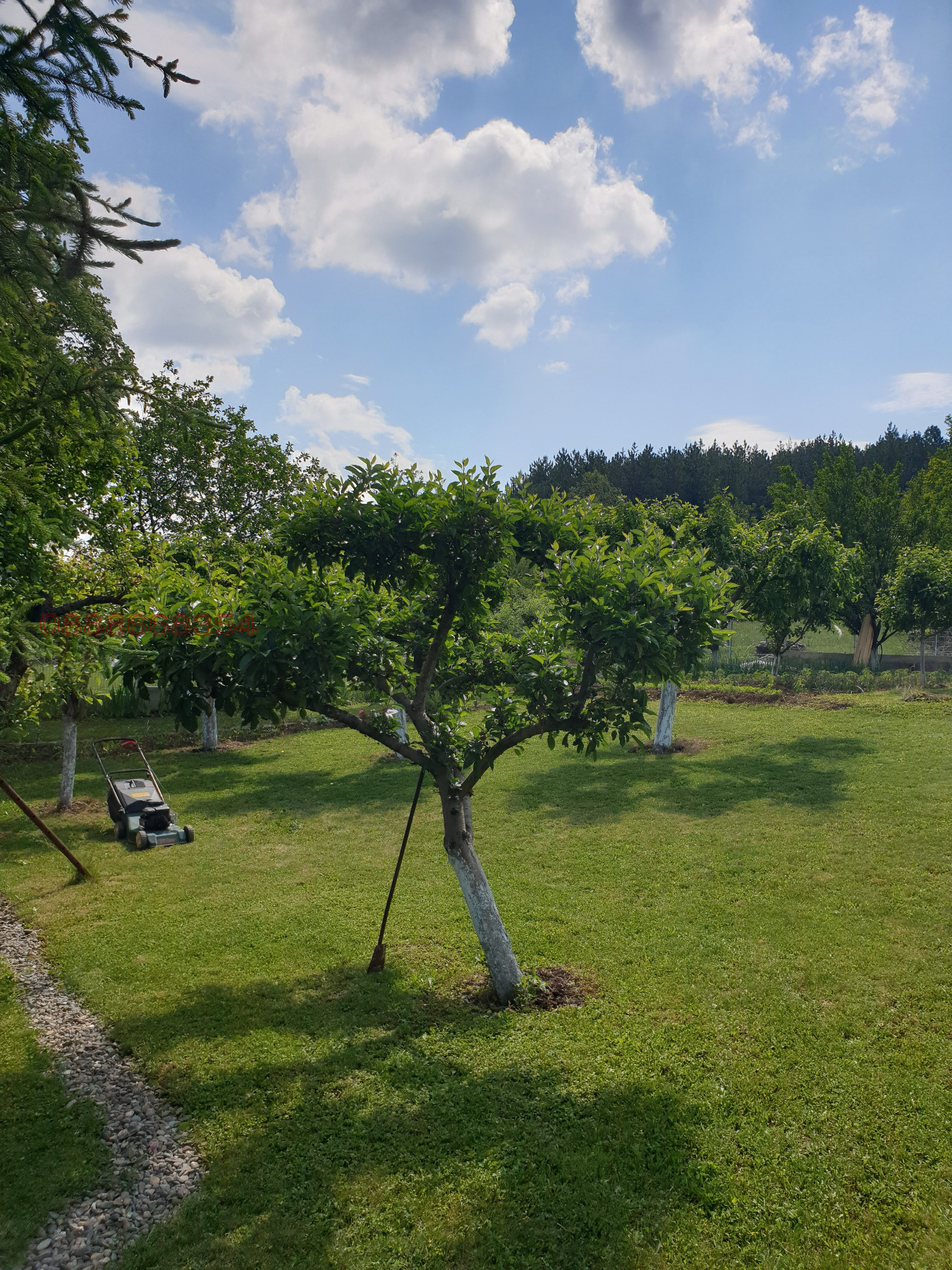 ������� ���� | Imot.bg � ����������� 8