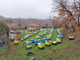 ����� ������� ����,�. ������, ������ ������