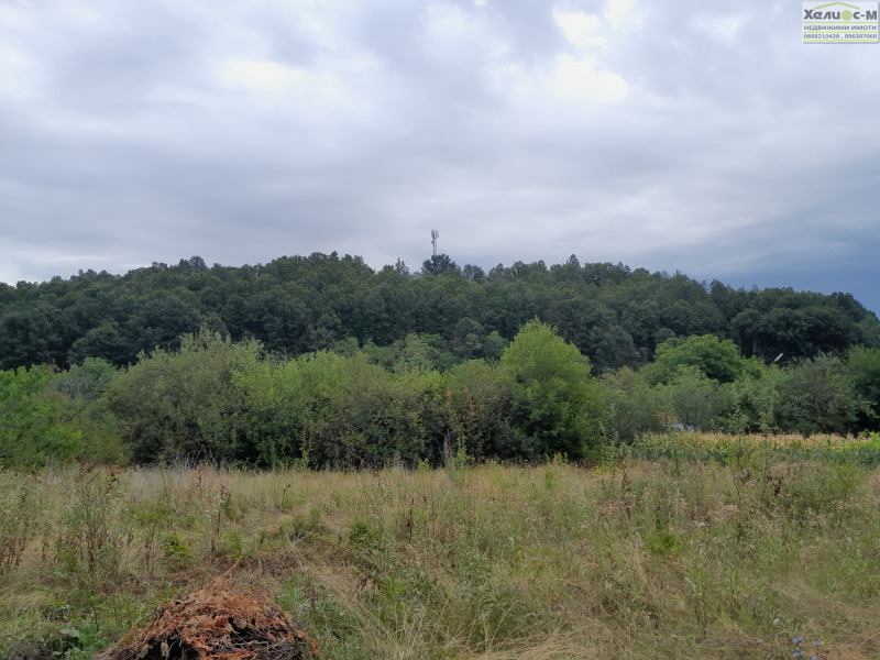 Προς πώληση  σπίτι περιοχή Μοντάνα , Βλαγοβο , 64 τ.μ | 43431313 - εικόνα [7]