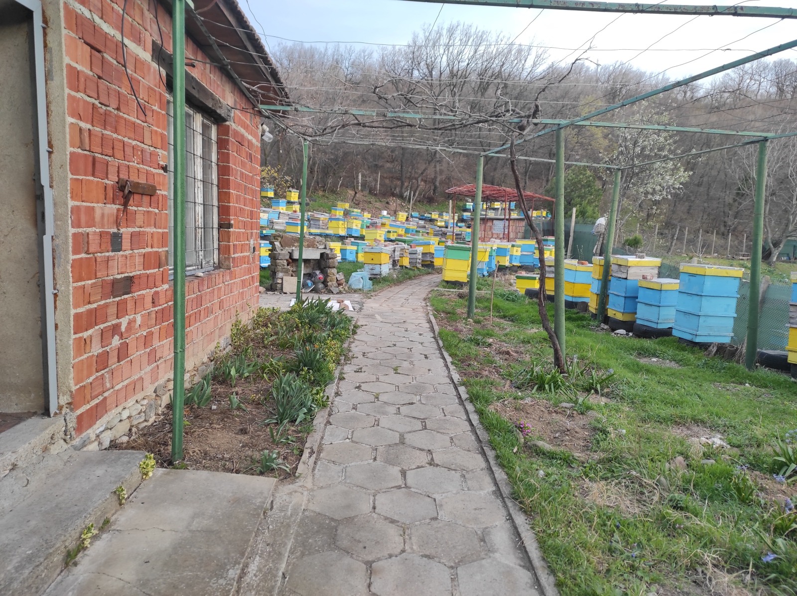 Продава КЪЩА, с. Сотиря, област Сливен, снимка 5 - Къщи - 54268441