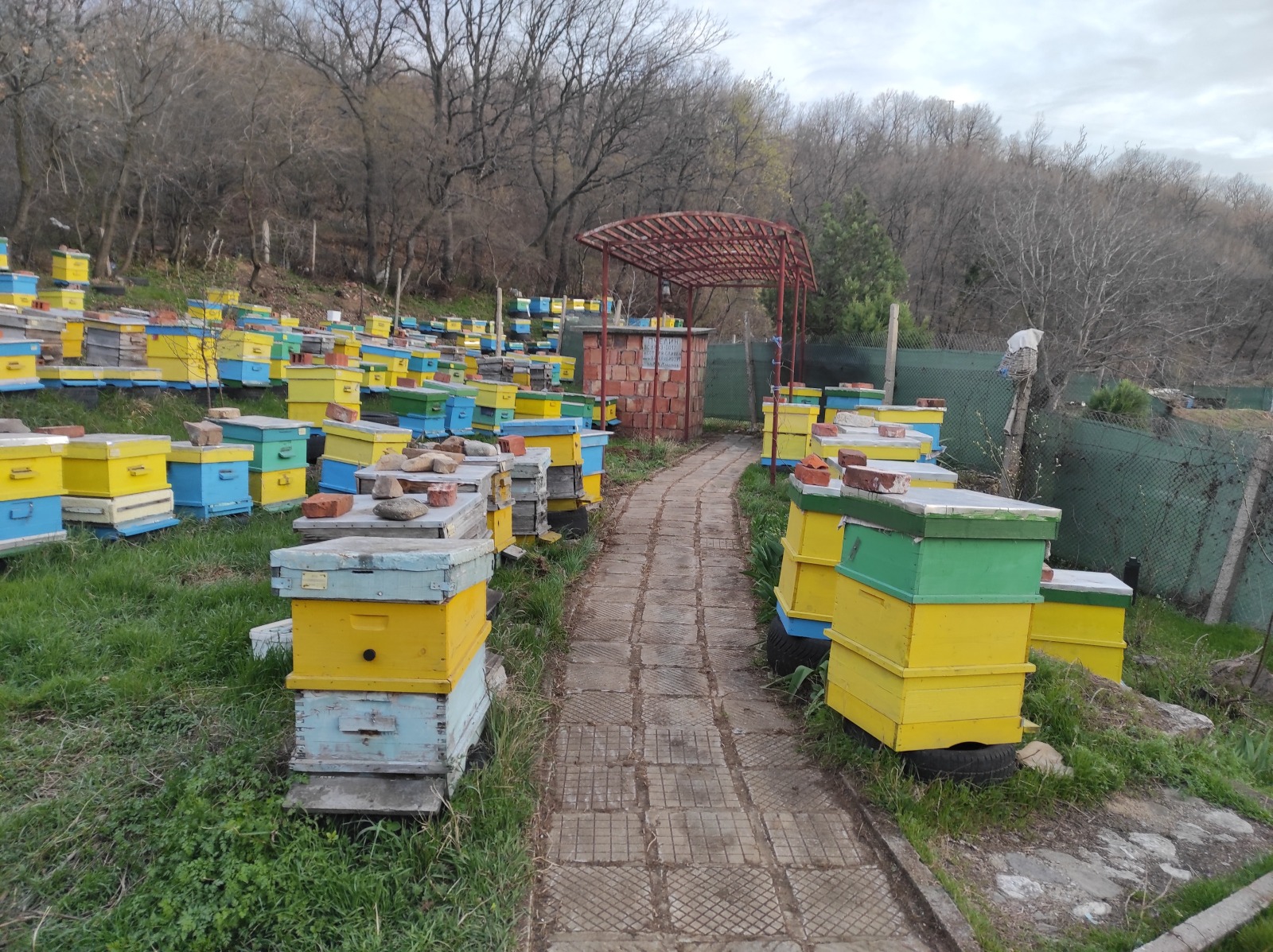 Продава КЪЩА, с. Сотиря, област Сливен, снимка 6 - Къщи - 54268441