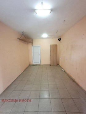 ����� ������� �����,���� ������, ����������