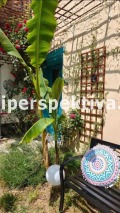 Продава 2-СТАЕН, град Пловдив, Център • 159999 € / 312930.84 лв. • 93004381 10