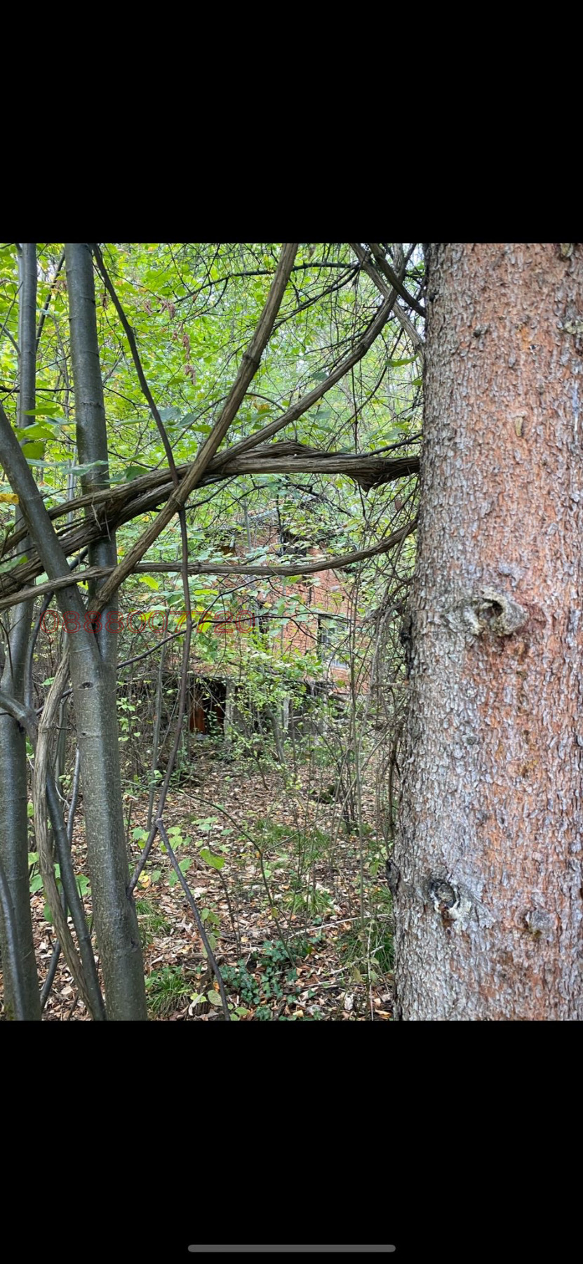 ������� ���� | Imot.bg � ����������� 2