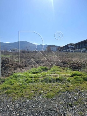 ����� ������� ������,�. �������, ������ �������