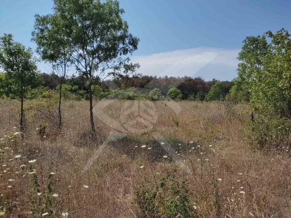 Myytävänä  Juoni Burgasin alue , Sozopol , 1467 neliömetriä | 73154067