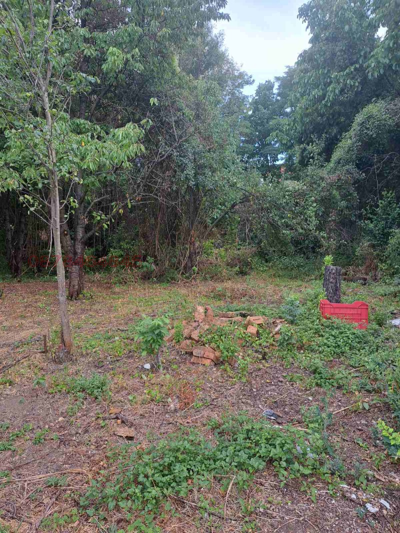 Продава ПАРЦЕЛ, с. Смолско, област София област, снимка 4 - Парцели - 52928208